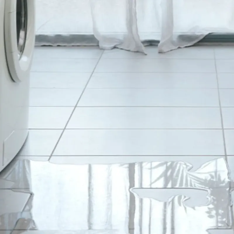 Appliance Leak Cleanup in Breese, IL