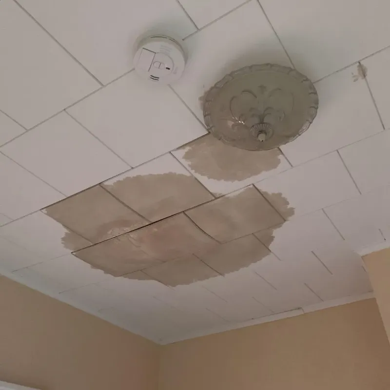 Ceiling Water Damage Repair in Breese, IL