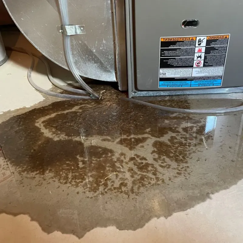 Pipe Burst and Leak Restoration in Breese, IL