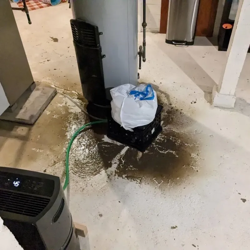 Sewage Backup Cleanup Service in Breese, IL